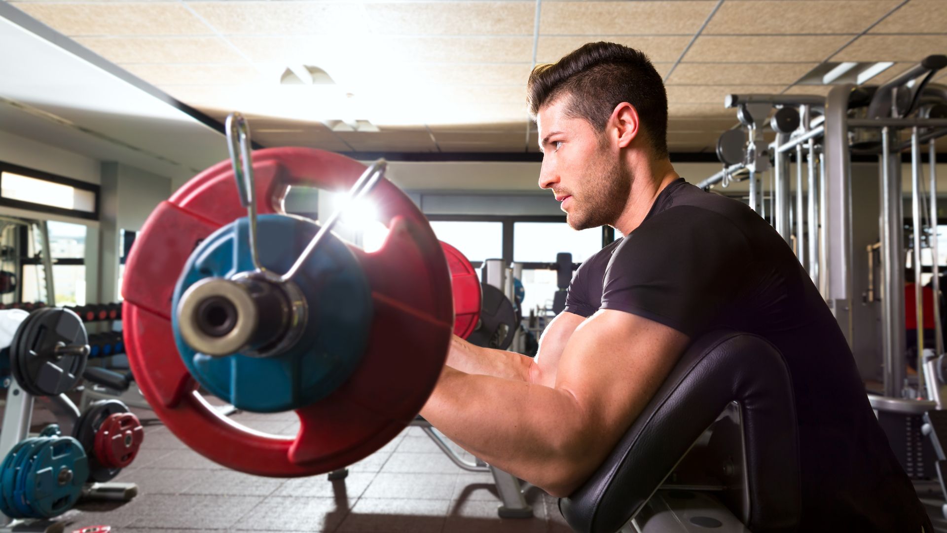 bicepsz edzés kézisúlyzóval