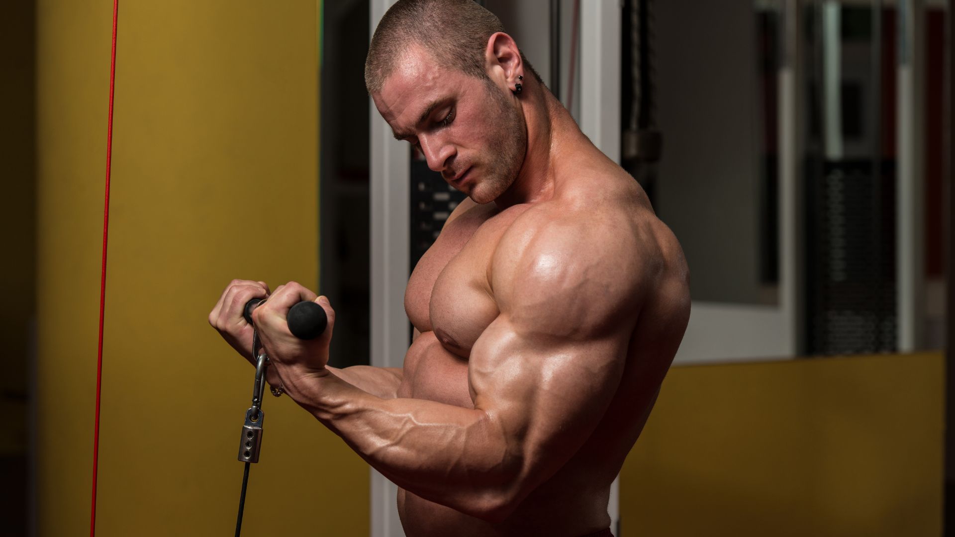 legjobb bicepsz gyakorlat