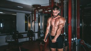 tricepsz belső fejének edzése