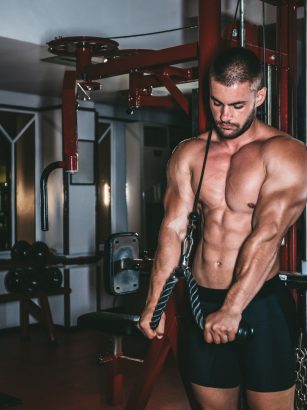 tricepsz belső fejének edzése