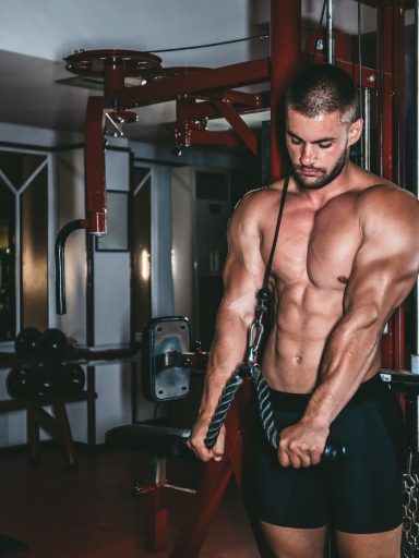 tricepsz belső fejének edzése