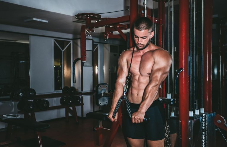 tricepsz belső fejének edzése