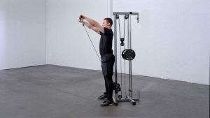 elülső váll edzése